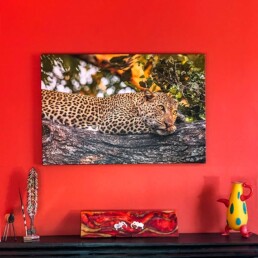 Fine Art Print hanging on wall.