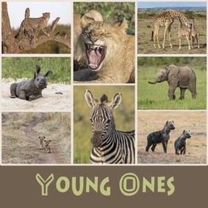 The Young Ones!