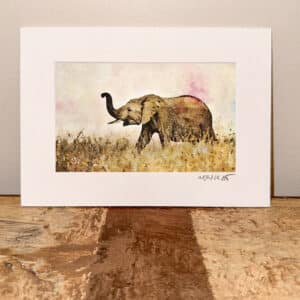 elephant fx mini print njwight
