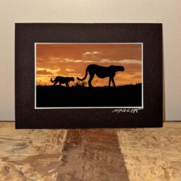 NJ Wight cheetah mini print